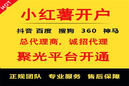 XX领域竞价广告的投放策略及效果展示